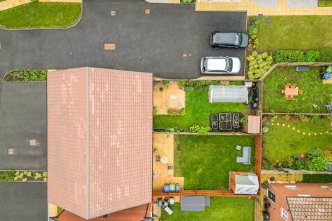 Birdseye