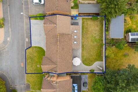 Birdseye