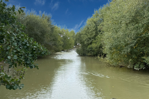 Jetty for Fishing
