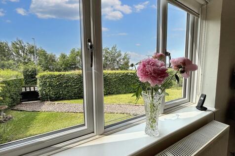 Kitchen View