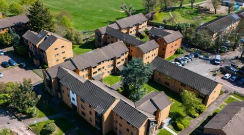 117 wilkonson 6.jpg