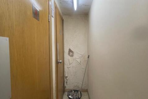 IMG_2566.jpeg