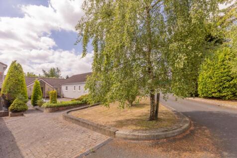 Exterior - Driveway