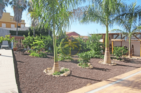 Image 25