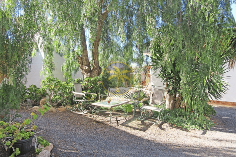Image 27