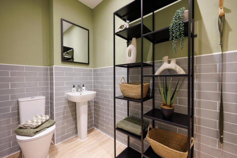 CP_Tors_SH_161223_04