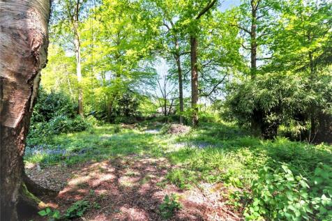 Woodland