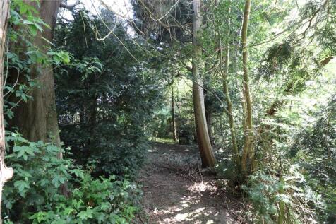 Woodland