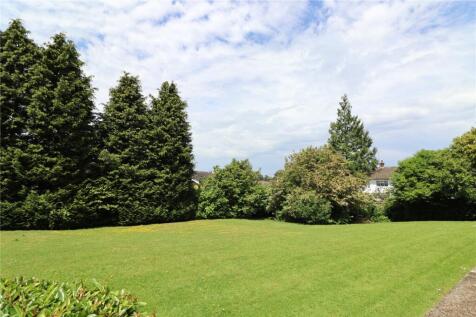 Communal Garden