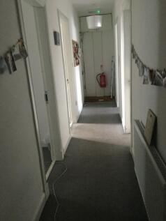 IMG4122.JPG