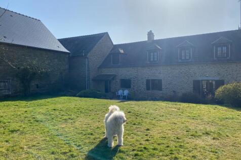 Property Image 17