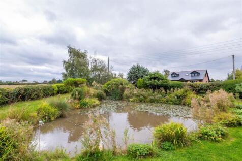 Pond