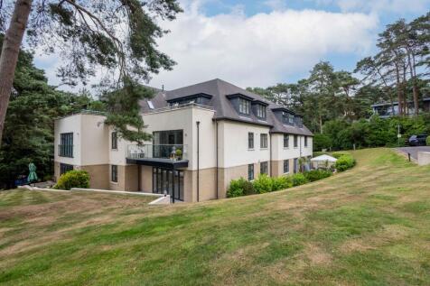 20250624-_6M_0499-Ed