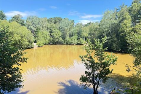 The Lake Savernake