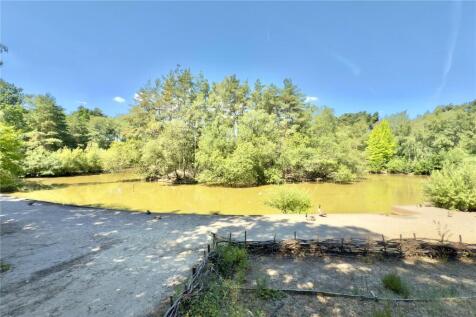 The Lake Savernake