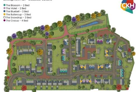Development plan