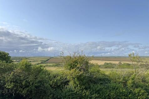IMG_5381.jpeg