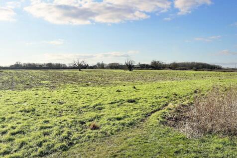 Views over adjacent fields