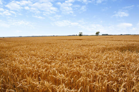 Land