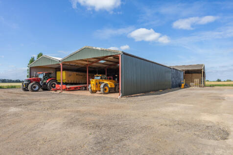 Lot 5