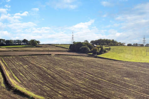 Farm