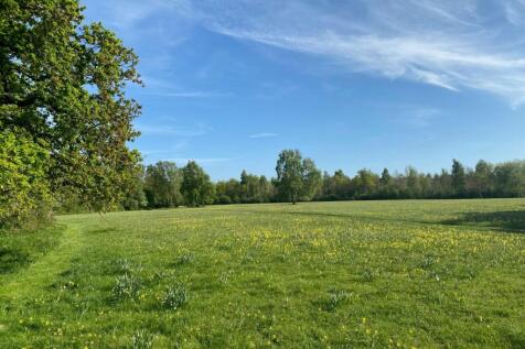 Meadow