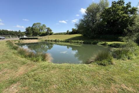 Fishing Pool