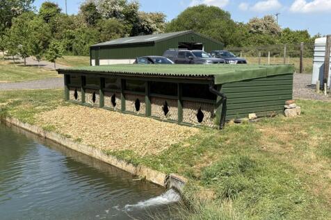 Viewing Hut