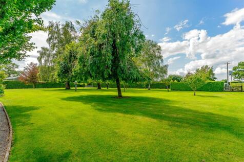 Lawn