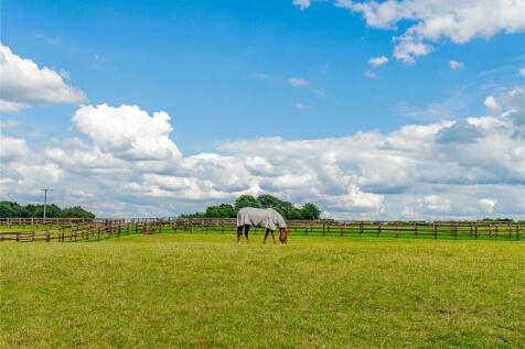 Paddock