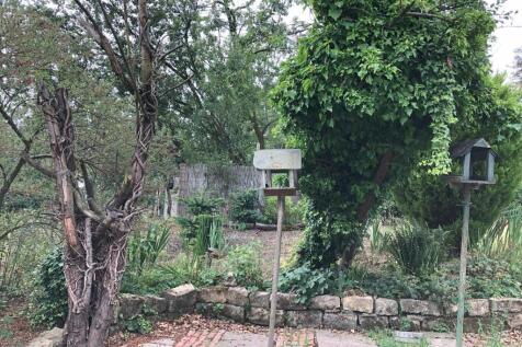 Garden.