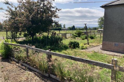 Side Garden