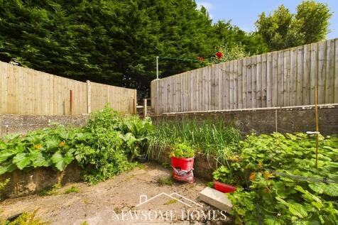 Vegetable Patch
