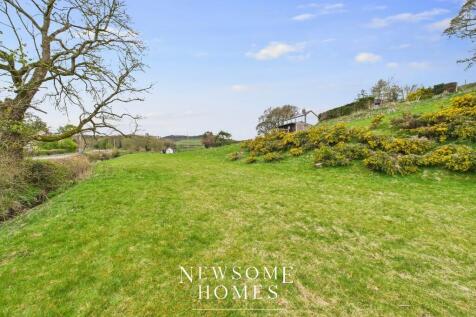 Front Land