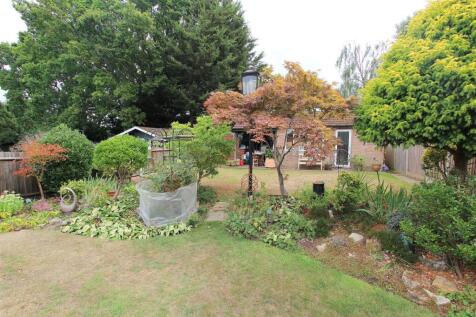 garden d.JPG
