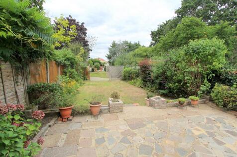 garden.JPG