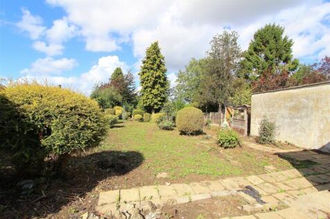 garden.JPG