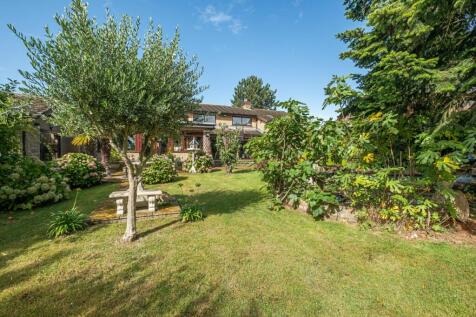 Property Image 23
