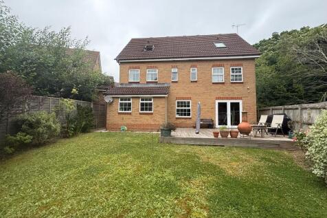 Property Image 17