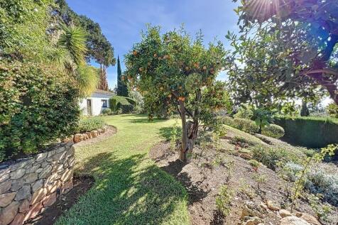 Property Image 37