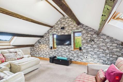 TV and Hobby Room