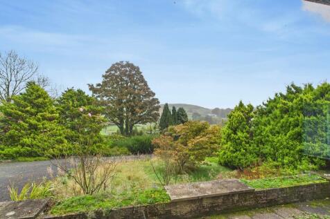 View from the fro...