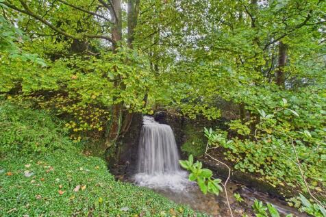 Mill Stream Water...