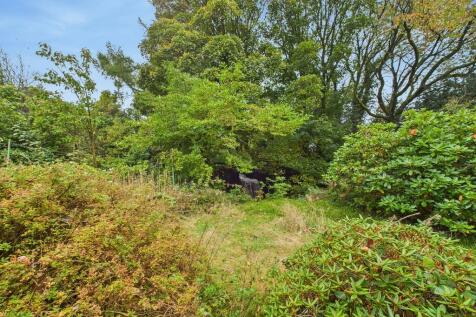 Mill Stream Garde...