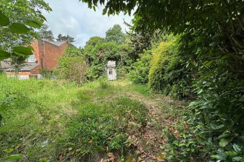 Garden 3 T202506011436.jpg