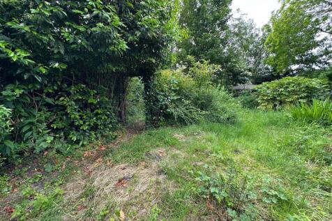 Garden 2 T202506011436.jpg