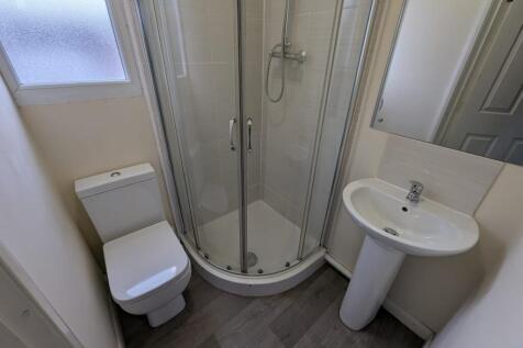 3 Ensu T202510151213.jpg