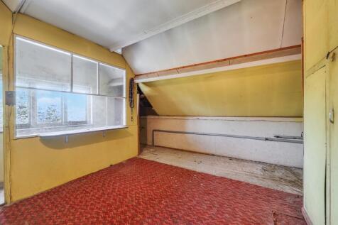 P1881984 T202508071132.jpeg