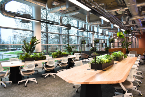 Coworking