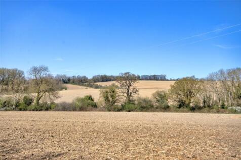 Land To Let